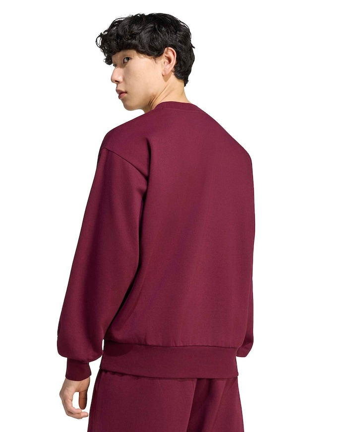Heren trui bordeaux