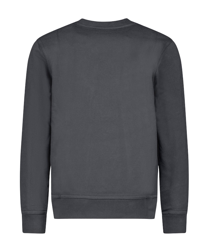 Jongens sweater grijs