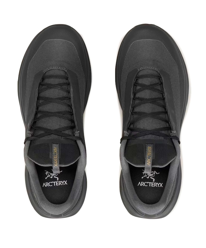 NORVAN LD 4 GTX MEN heren wandelschoenen zwart