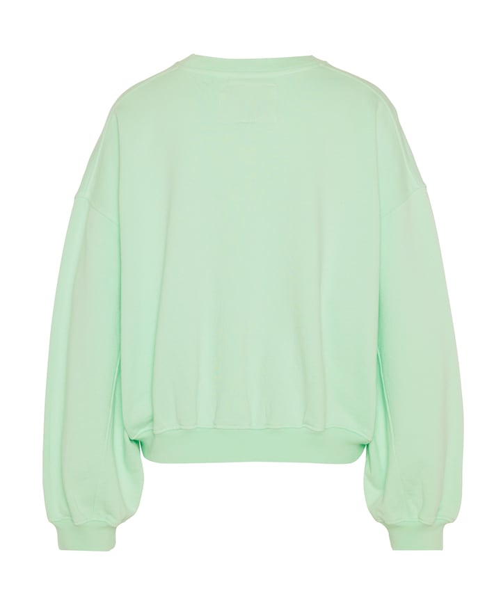 Dames trui groen