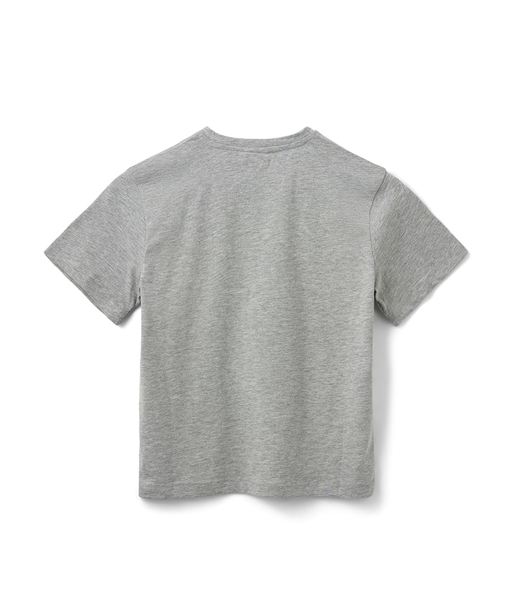 Meisjes t-shirt grijs