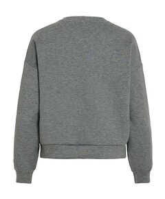 Dames sweater grijs