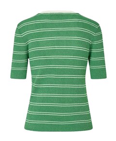 Polo groen