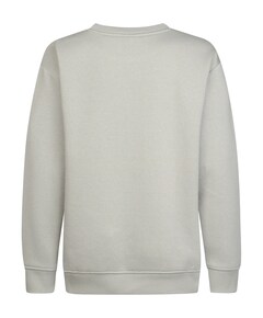 Jongens sweater grijs