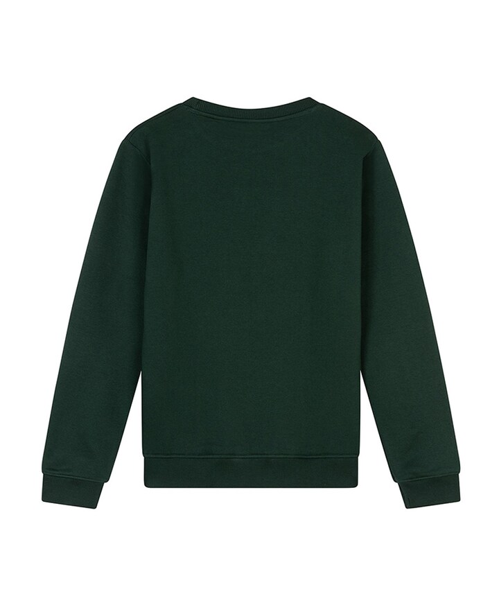 Jongens sweater groen