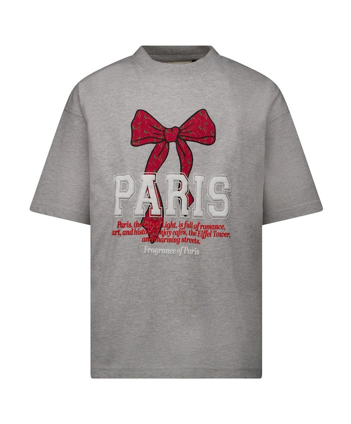 Meisjes T-shirt grijs