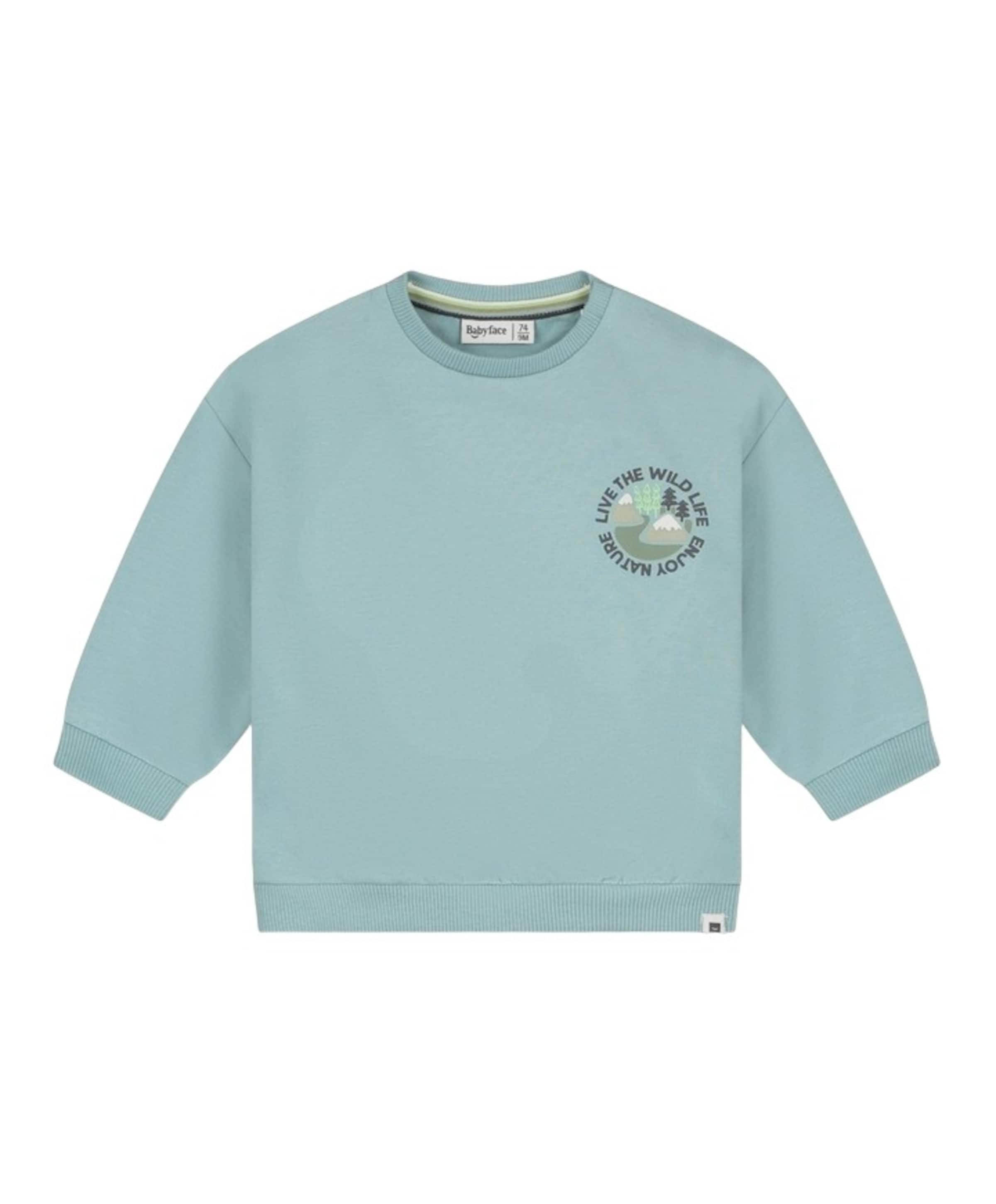 Jongens trui blauw