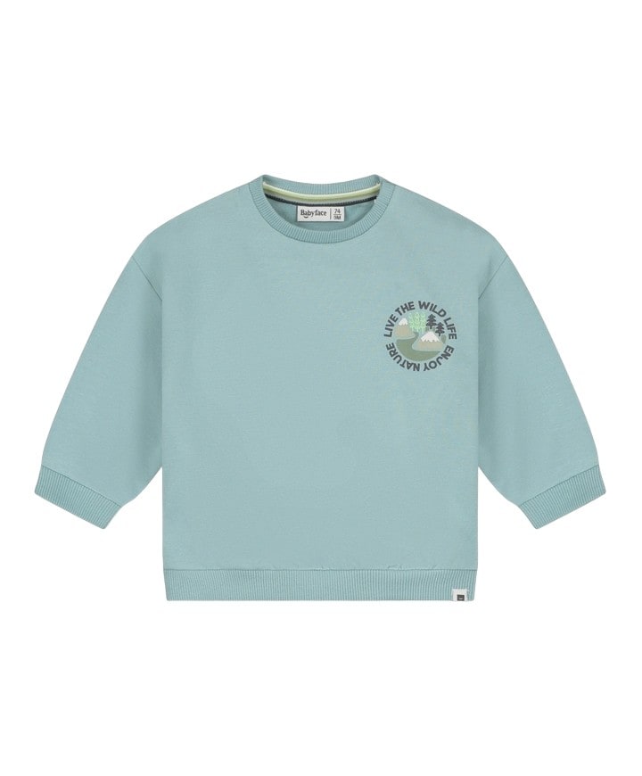 Jongens trui blauw