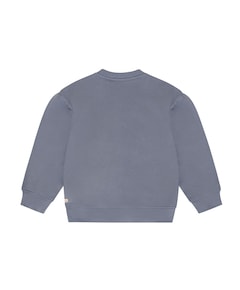 Meisjes sweater grijs