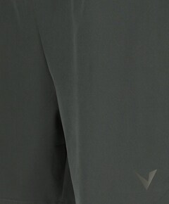 Spier V3 M heren shorts groen