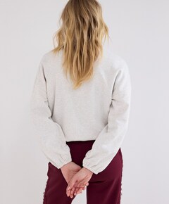 Dames sweater grijs