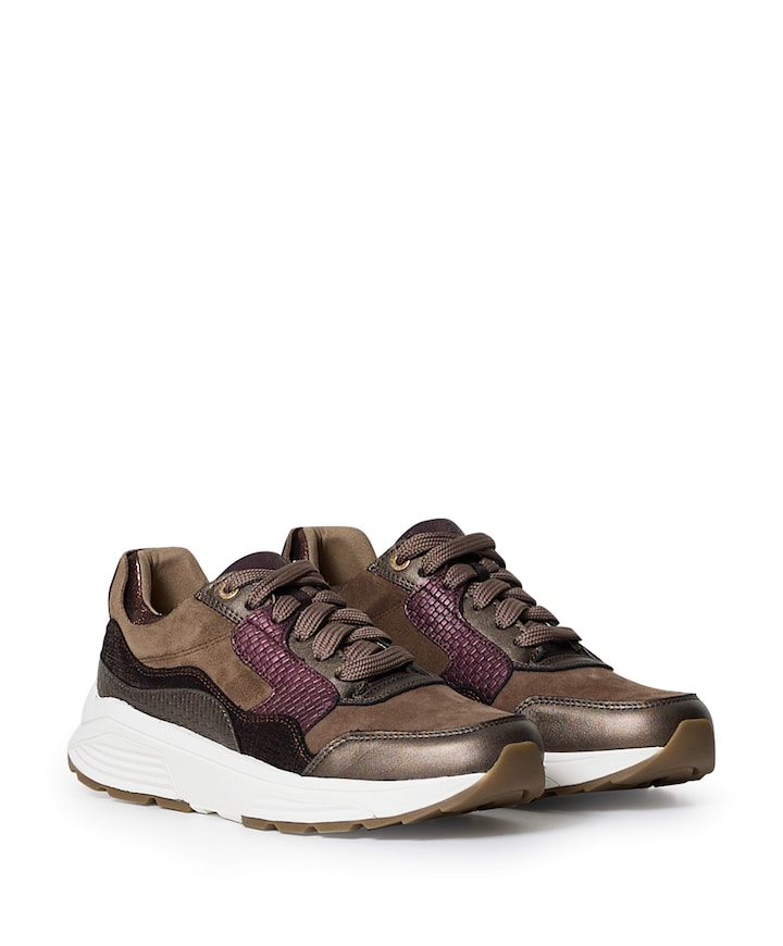 Golden Gate Lady dames sneakers bruin