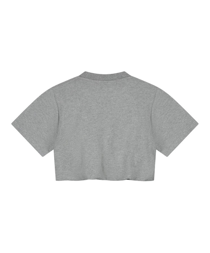 Meisjes T-shirt grijs