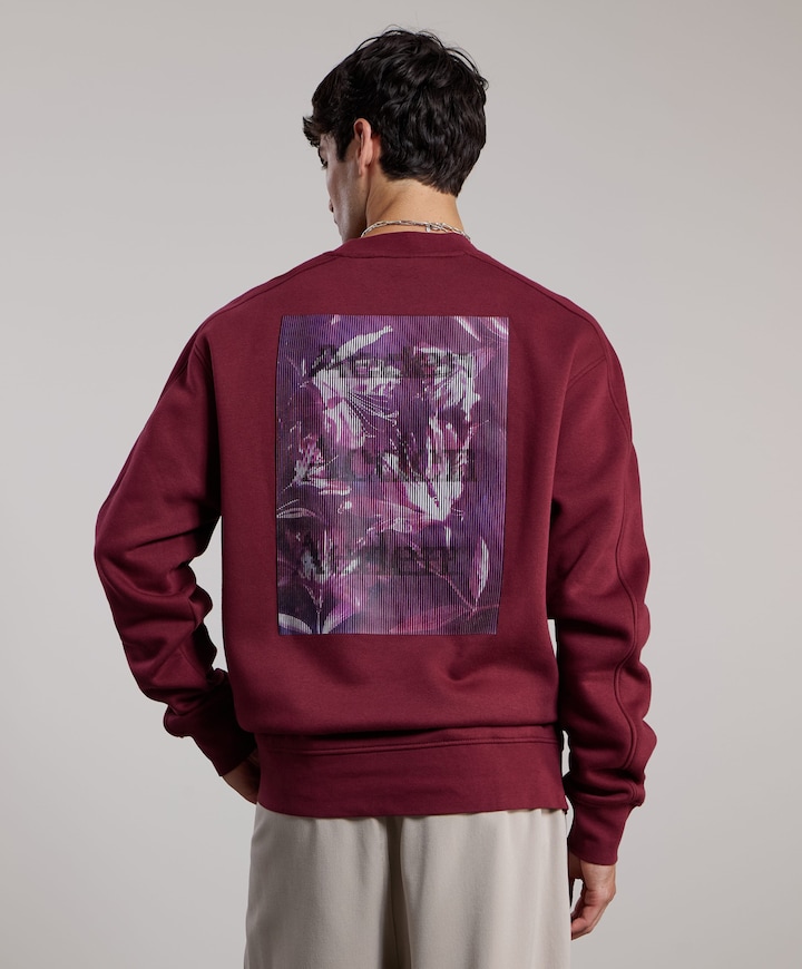Heren sweater bordeaux