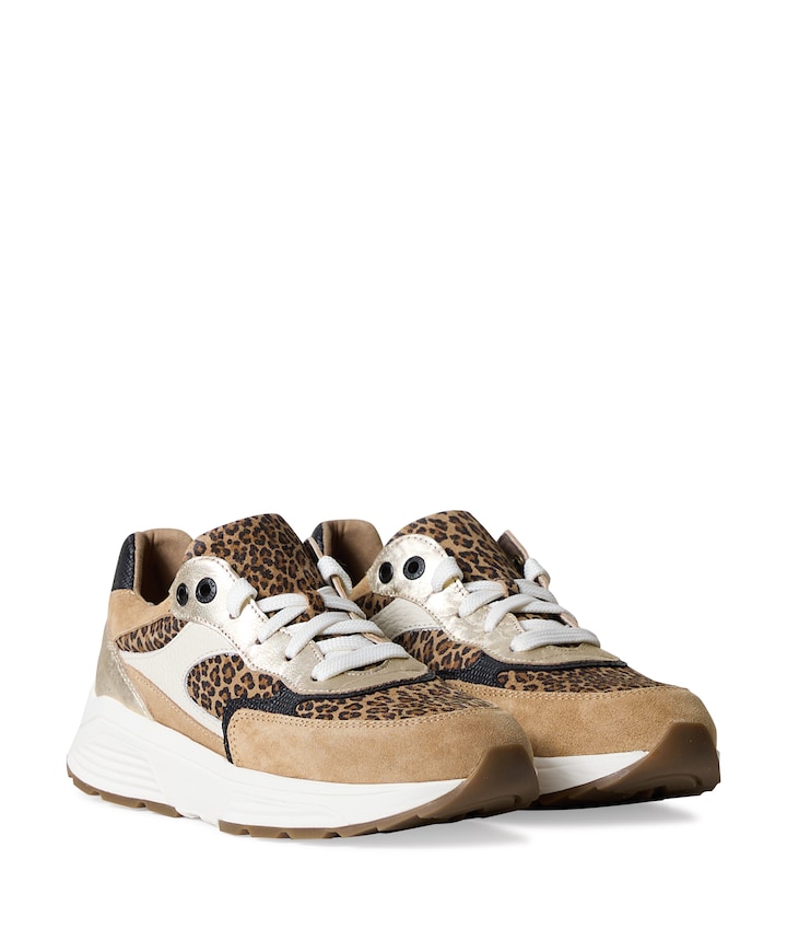 Ponte Vecchio dames sneakers bruin