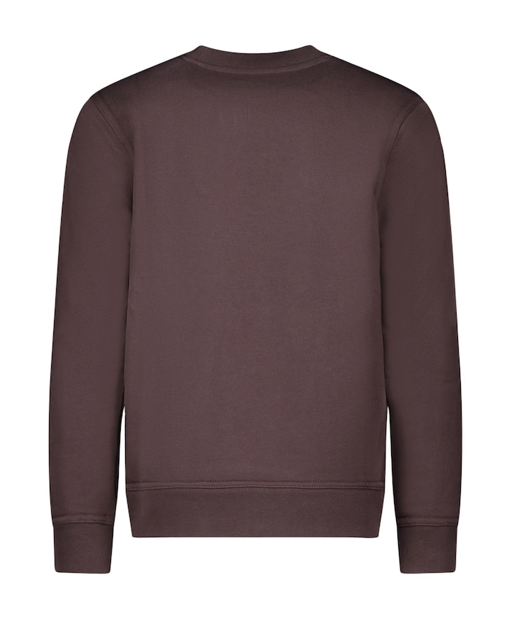 Jongens sweater bruin