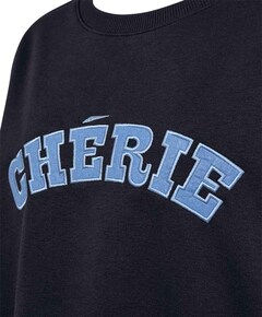 Dames sweater blauw