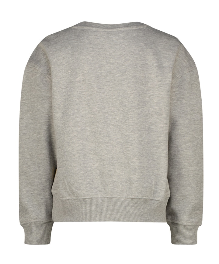 Meisjes sweater grijs