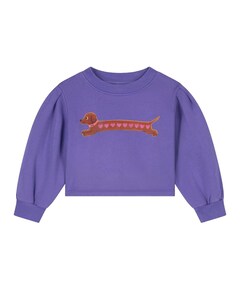 Meisjes sweater paars