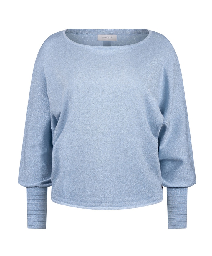 Dames trui blauw