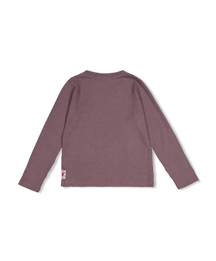 Meisjes longsleeve paars