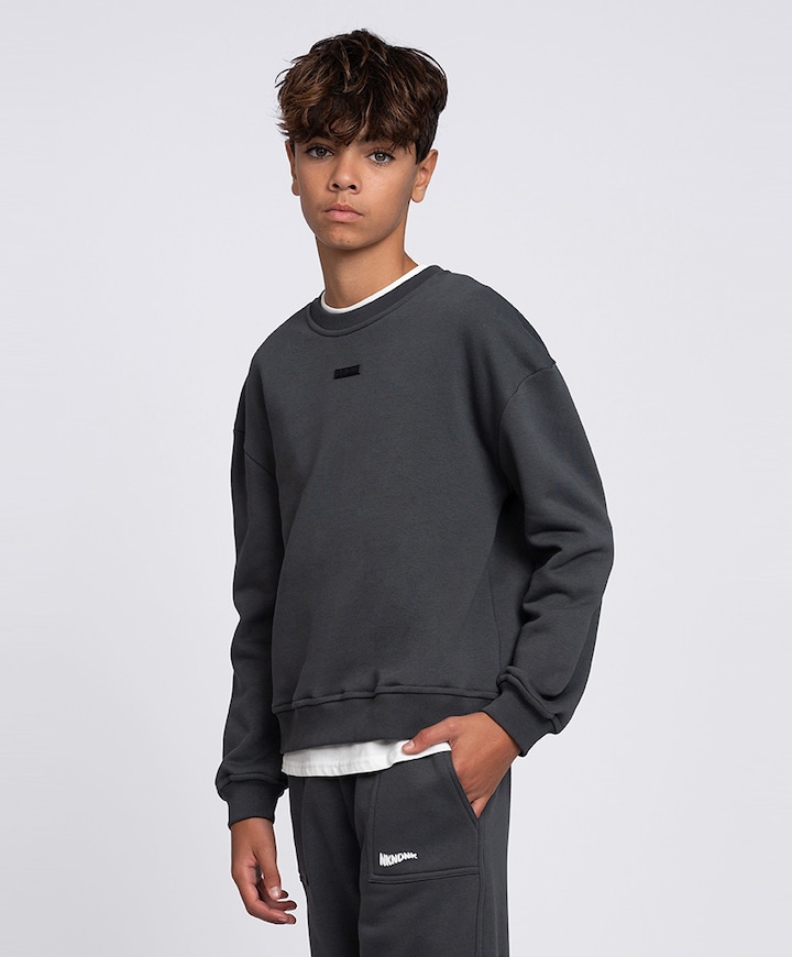 Sweater grijs