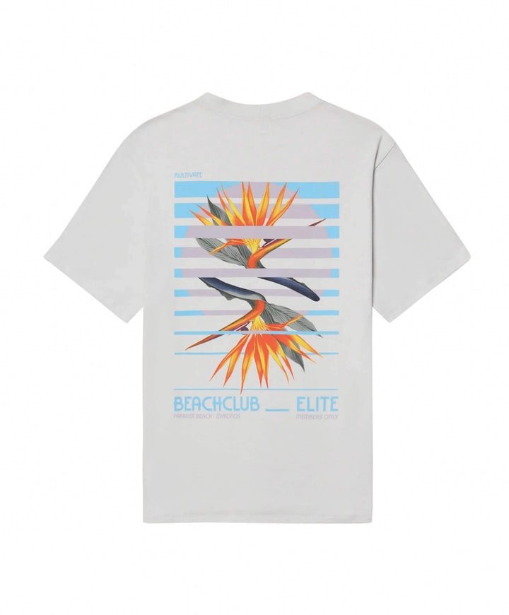Heren T-shirt grijs