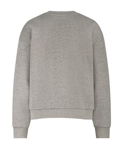 Dames sweater grijs
