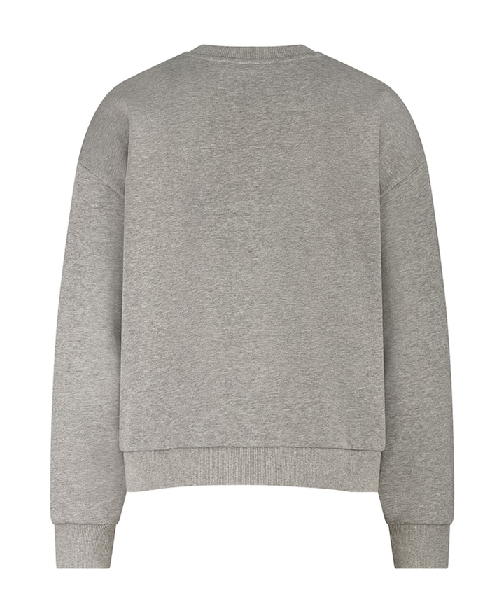 Dames sweater grijs