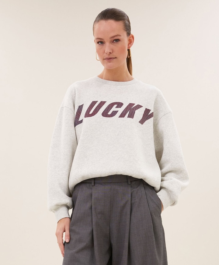 Dames sweater grijs