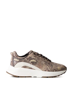 Bailey dames sneakers bruin