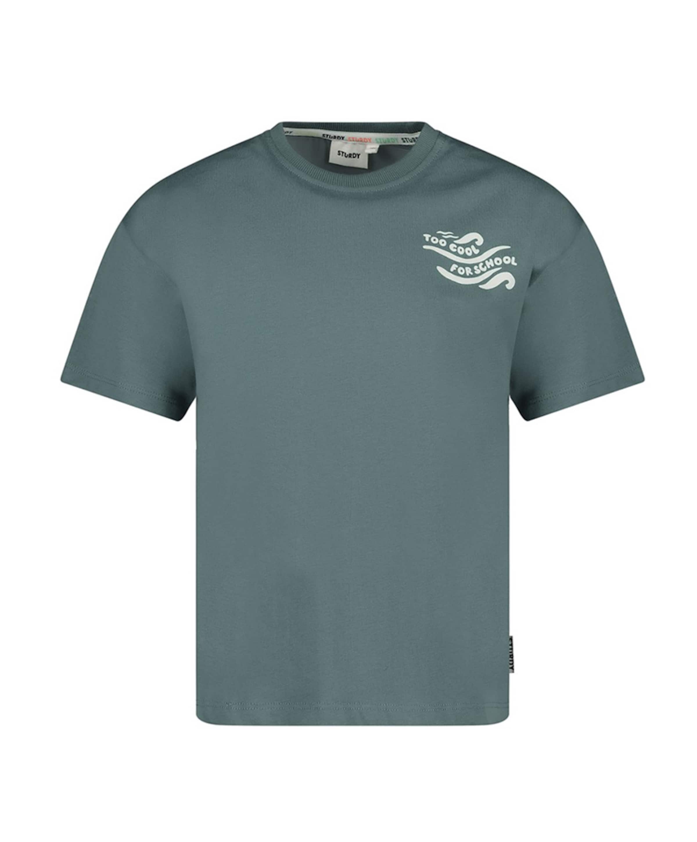 Jongens T-shirt blauw