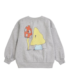 Jongens sweater grijs