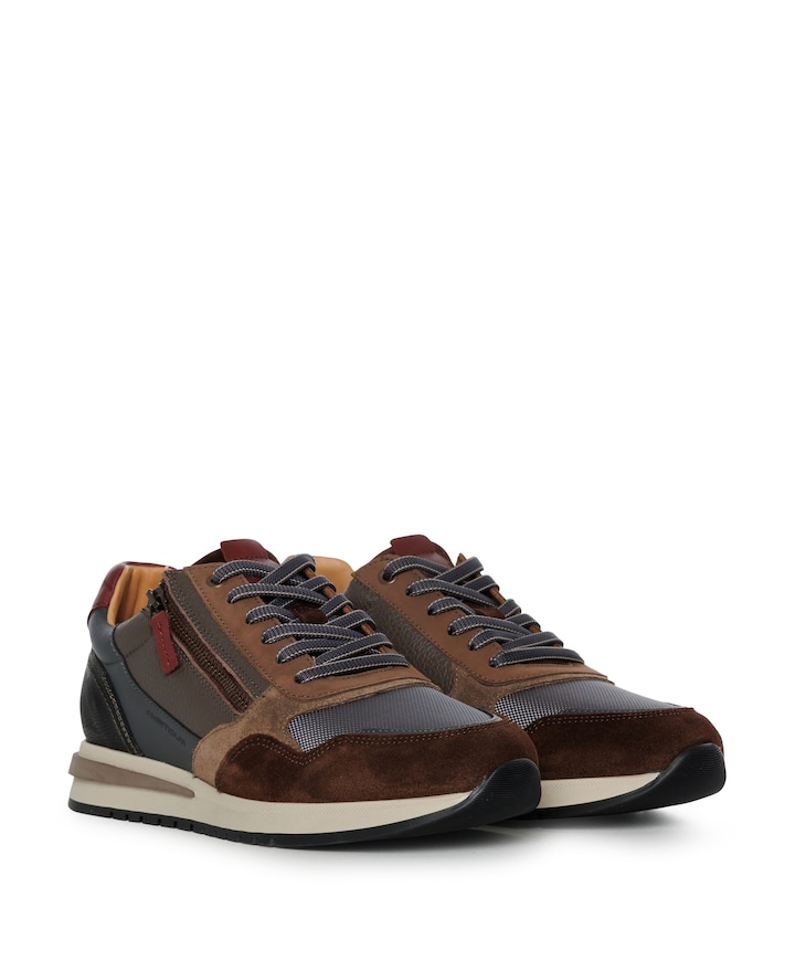 Temple sneakers bruin
