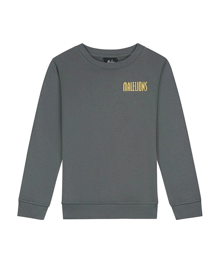 Jongens sweater grijs