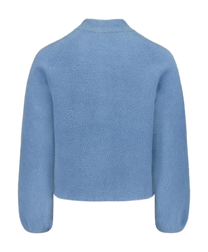 Dames vest blauw