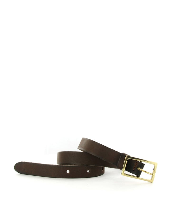 Riem bruin