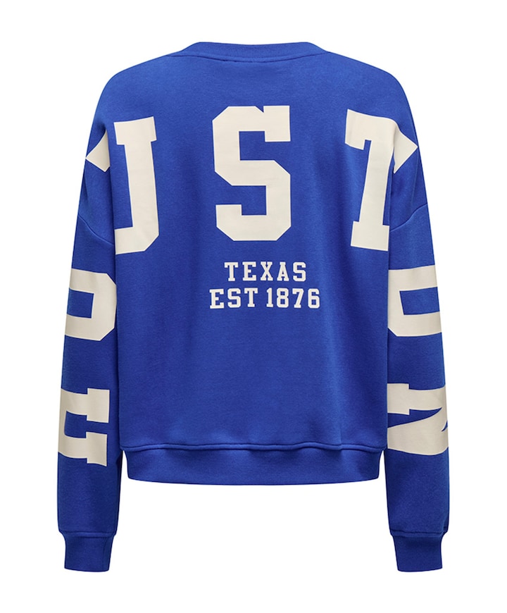 Dames sweater blauw