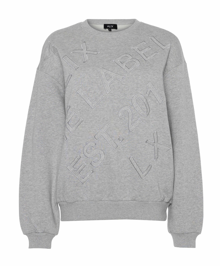 Dames sweater grijs