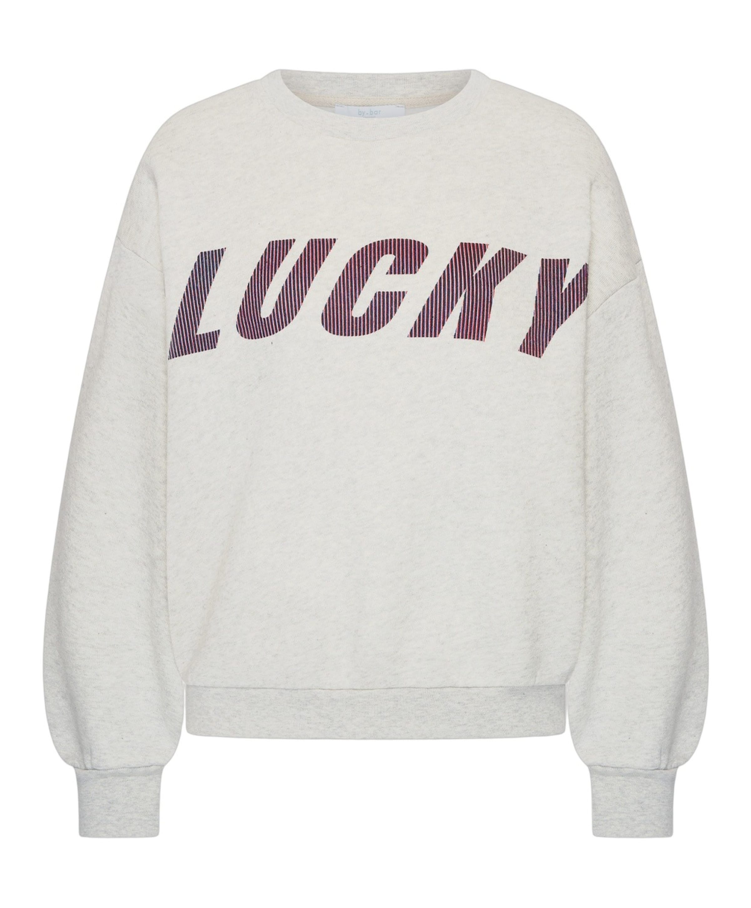 Dames sweater grijs