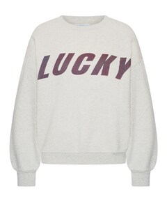 Dames sweater grijs