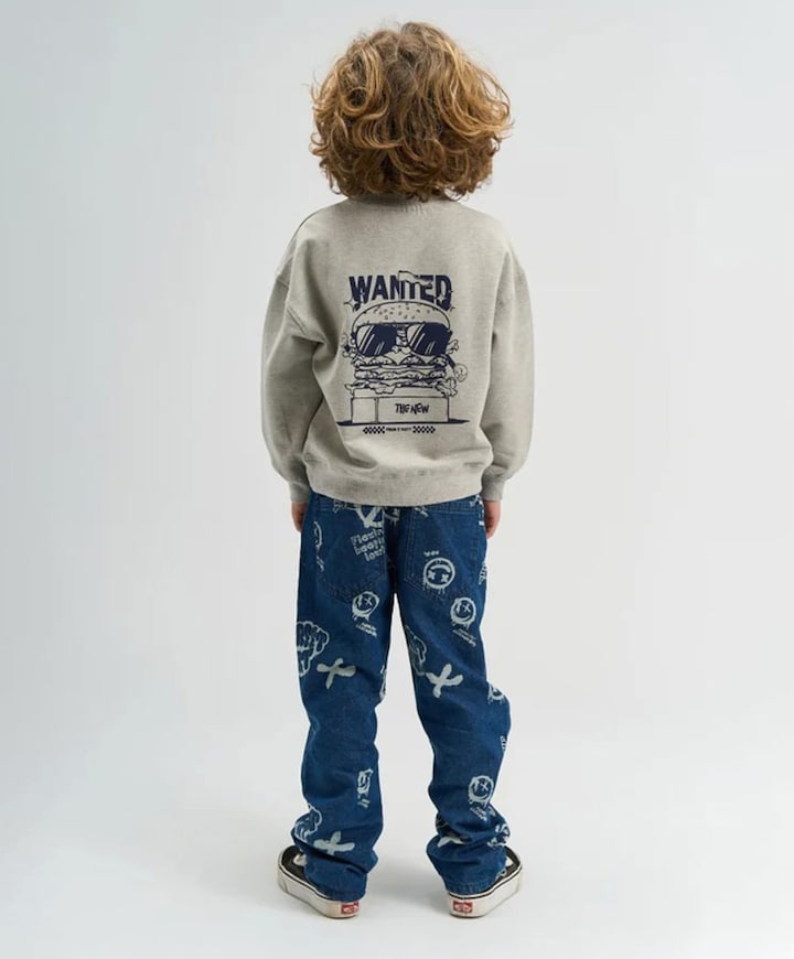 Jongens sweater grijs