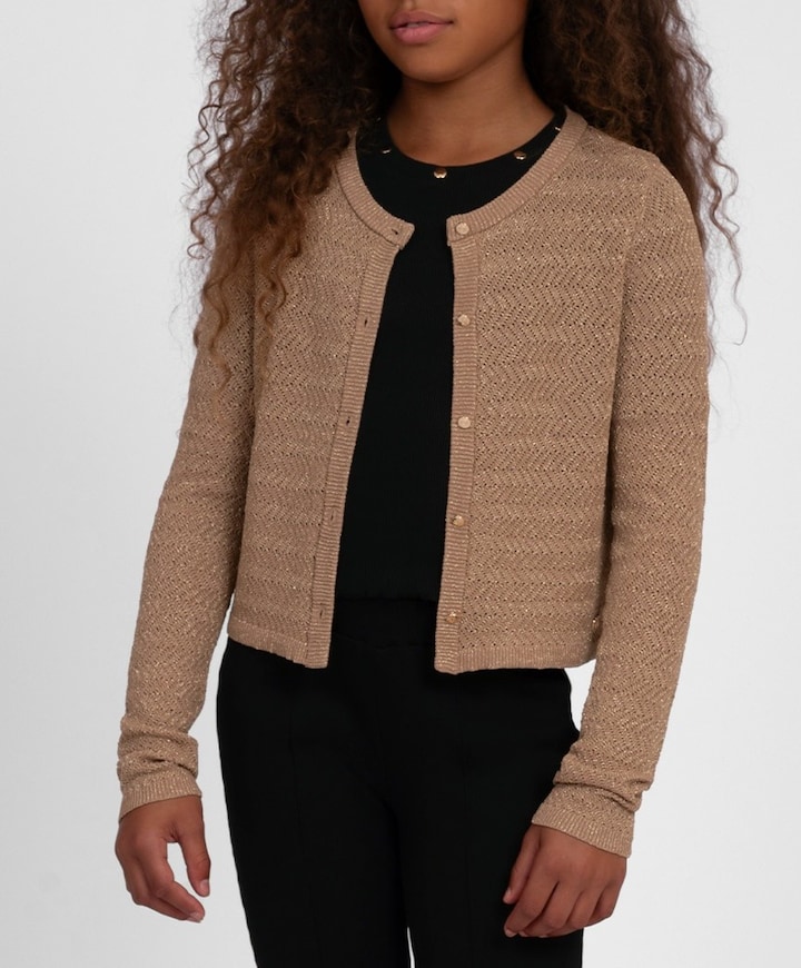 Meisjes vest bruin