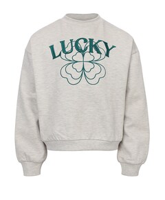 Meisjes sweater grijs