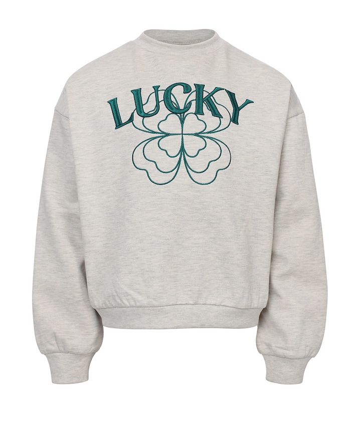 Meisjes sweater grijs