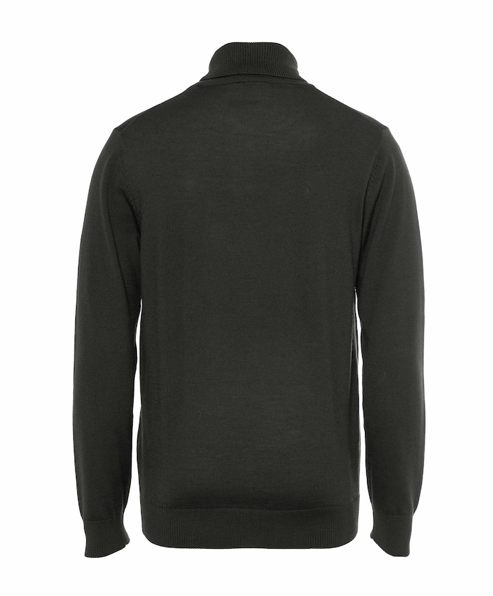 Heren coltrui groen
