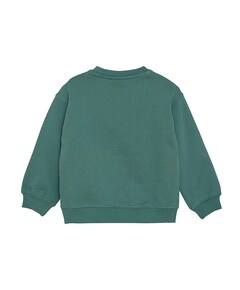 Sweater groen