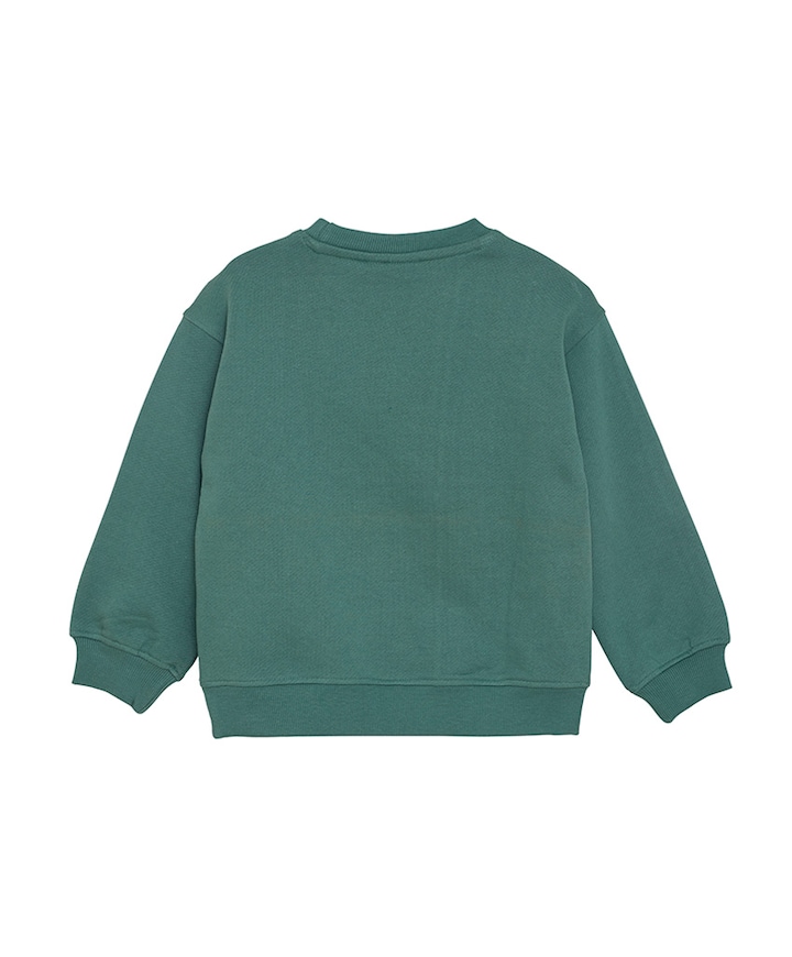 Sweater groen