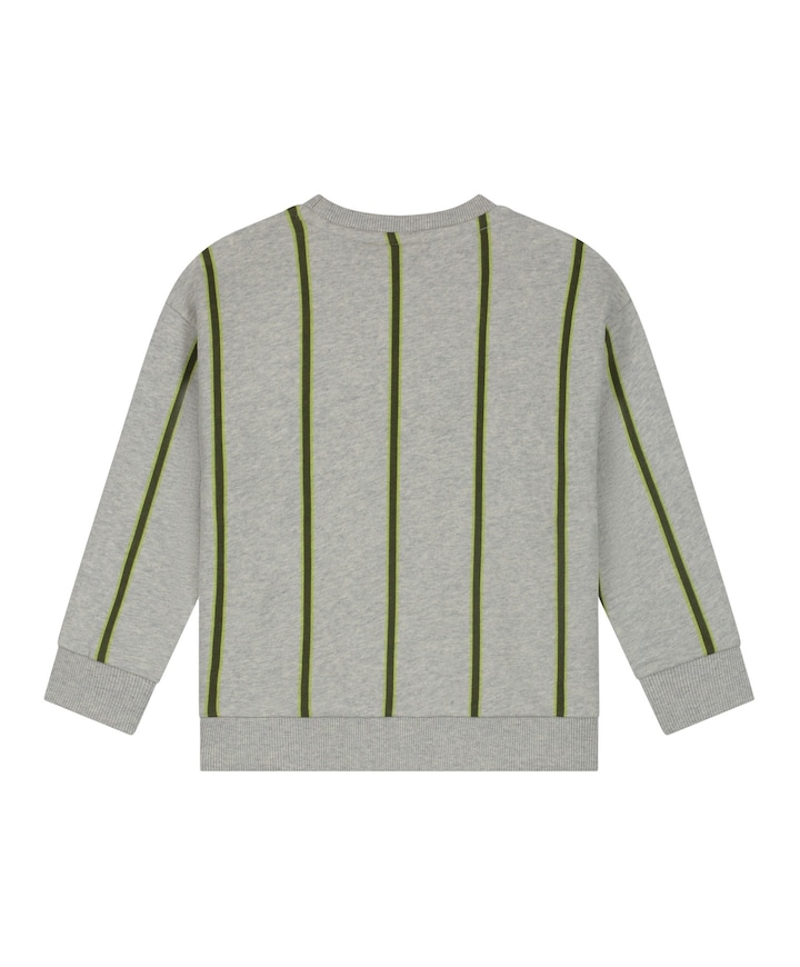 Jongens sweater grijs