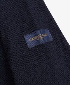 Heren trui blauw